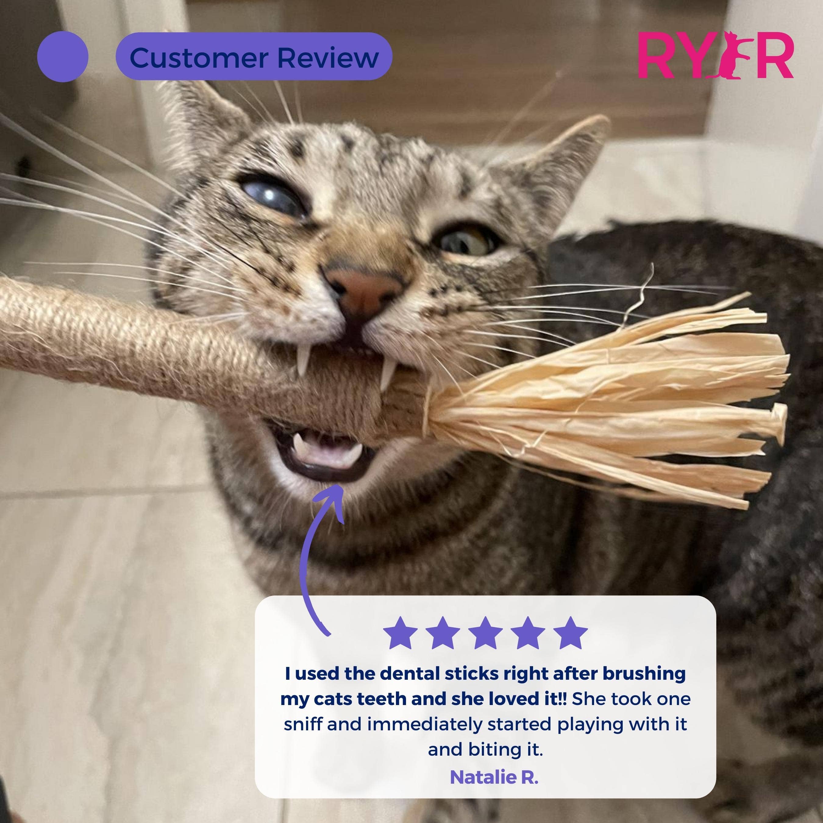 RYERCAT - Wholesale Pet Toy - Cat - Silvervine Cat Dental Sticks - Natural Dental Care (5 Pack)1