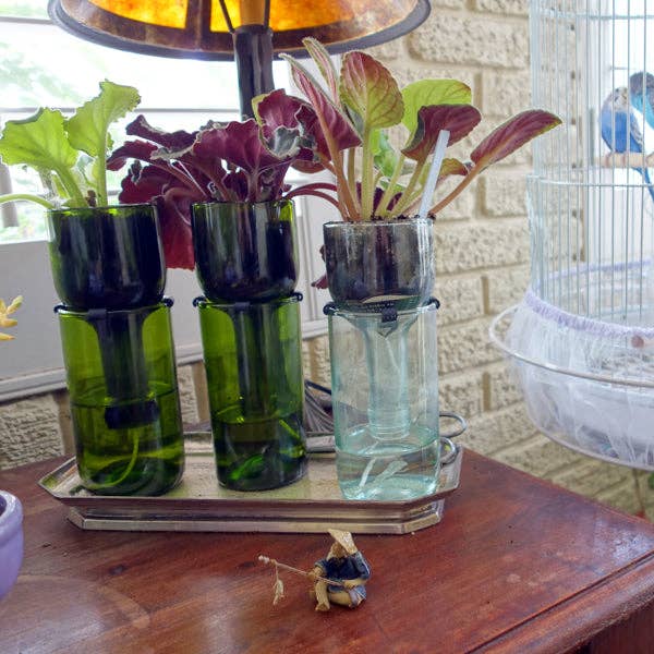 Refresh Glass - Wholesale Plant Pot - Self Watering Planter: Clear