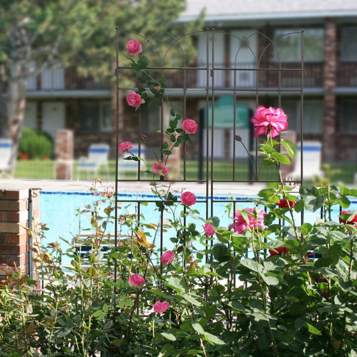 39F Inc. - Wholesale Trellis - 2-Pack Brown Metal Plant Trellis for Vines, 71in x 18in5