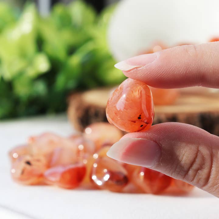 Sacchetto da 11 libbre di Mini Pietre Burattate di Corniola per la vendita all'ingrosso da parte di Natures Artifacts Inc