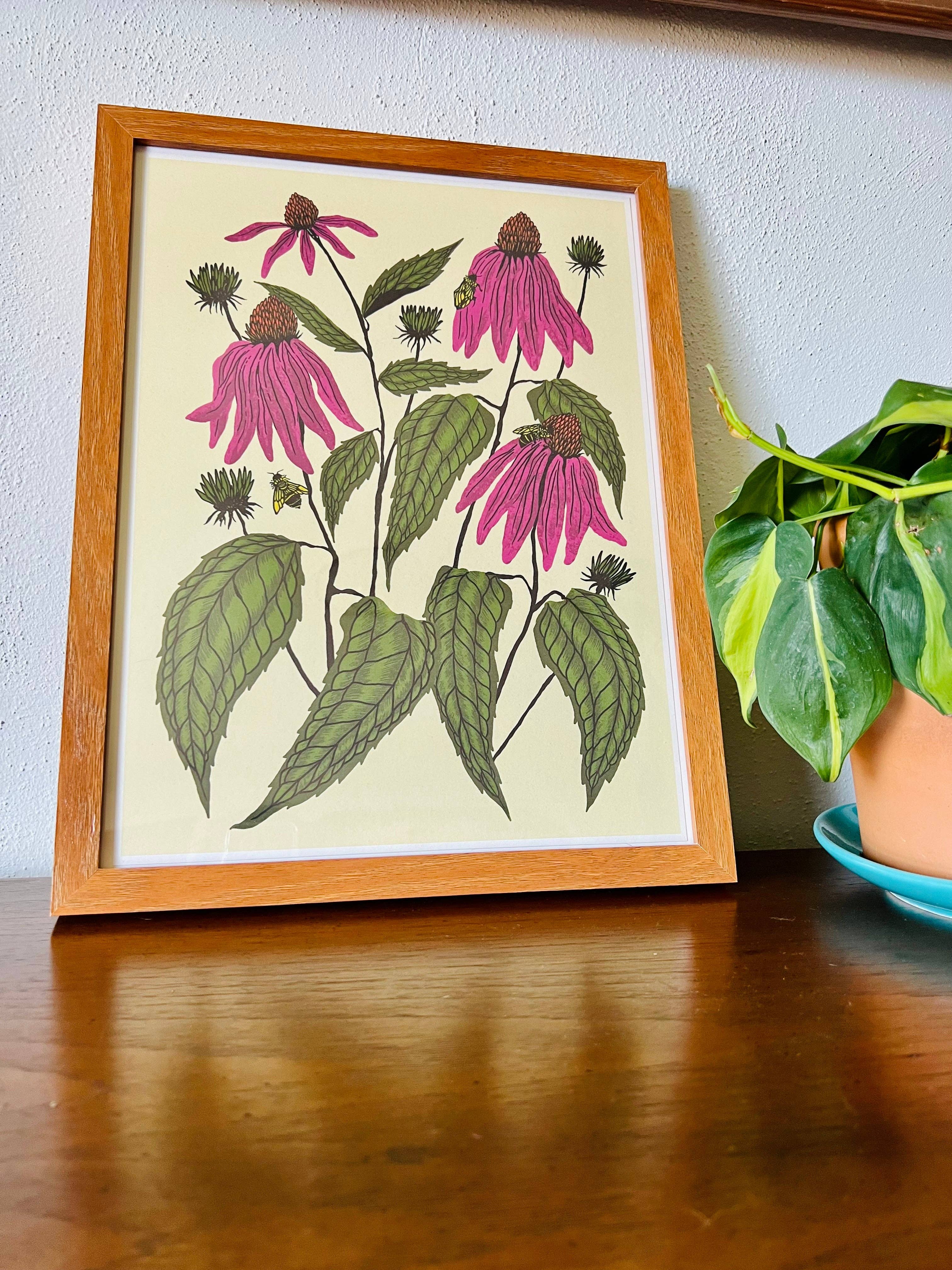 Needlebone, LLC - Wholesale Art Print - Coneflower - 14x11 Print1