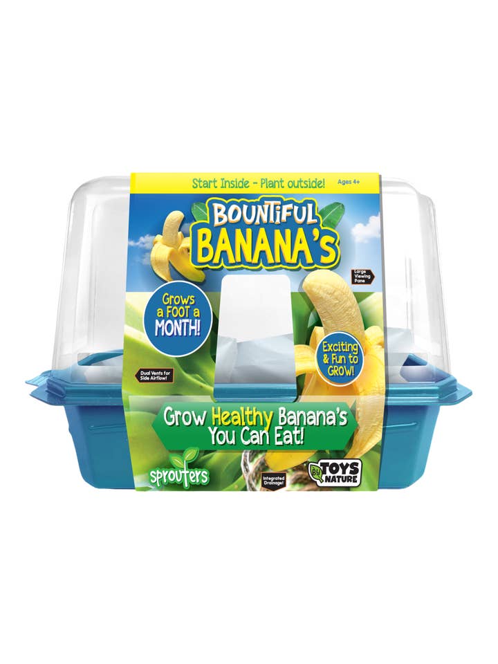 Terrarium Bountiful Bananas pour la vente par Silver Circle Products