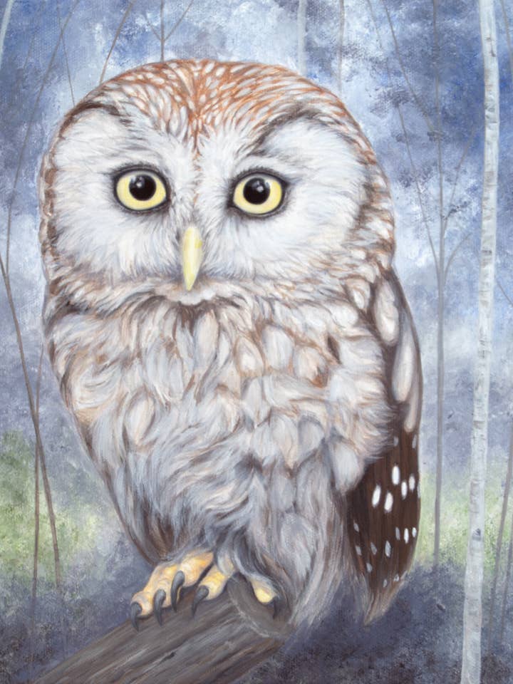 Into The Woods: The Little Owl - Owl Print for wholesale by Tracy L Anderson