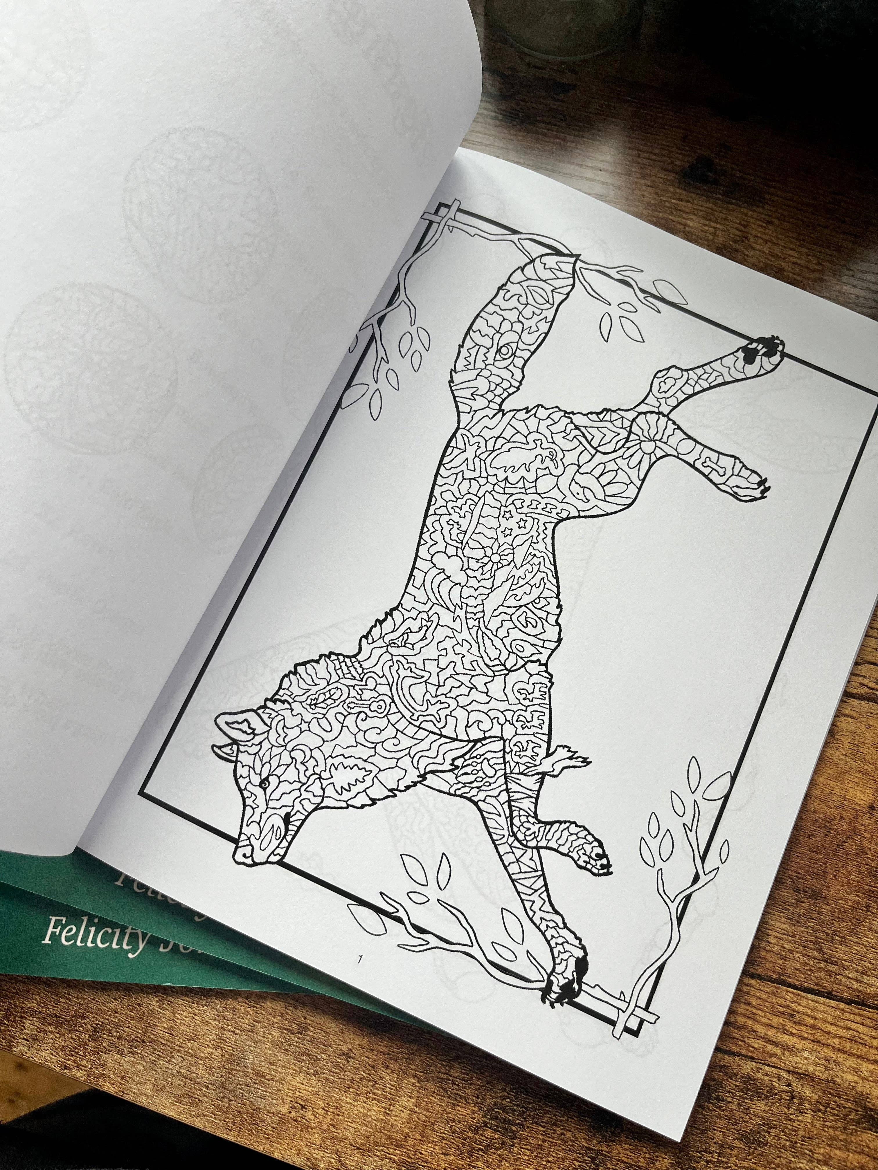 FJ Creations - Wholesale Coloring & Activity Book - Adult - Doodle Alaska 2 Coloring Book of Alaska5