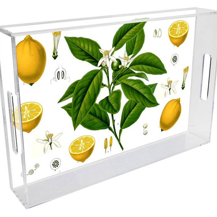 T7879-Vassoio vintage Lemons Lucite per la vendita all'ingrosso da parte di Marye-Kelley