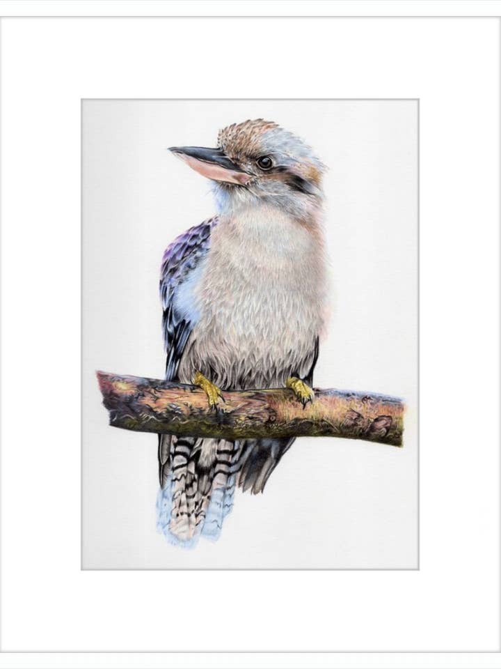 Bruce pour la vente par Gavalina