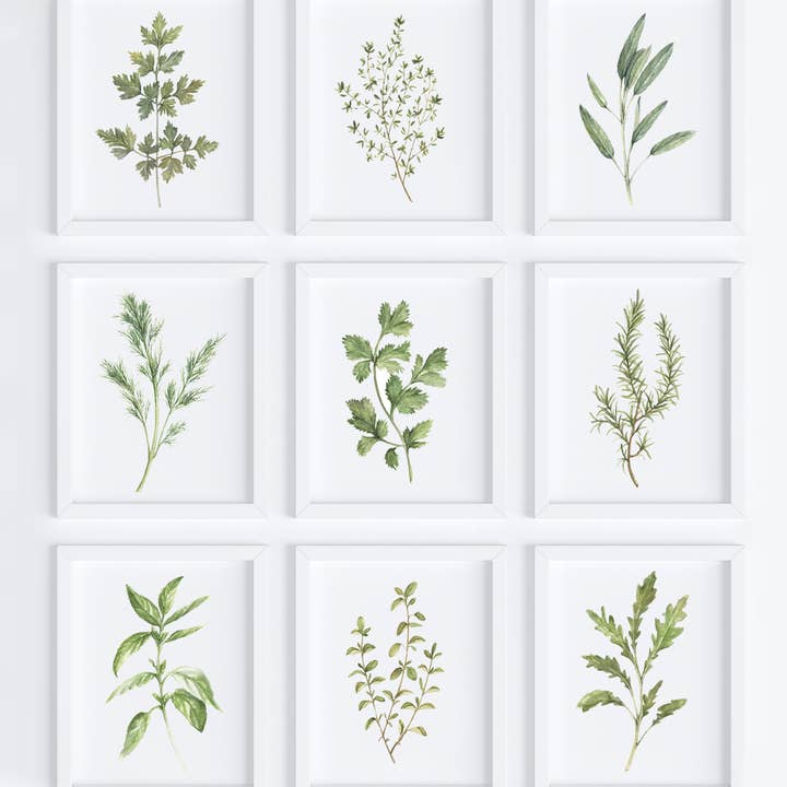 Tabitha Paige - Wholesale Art Print - Arugula Art Print2