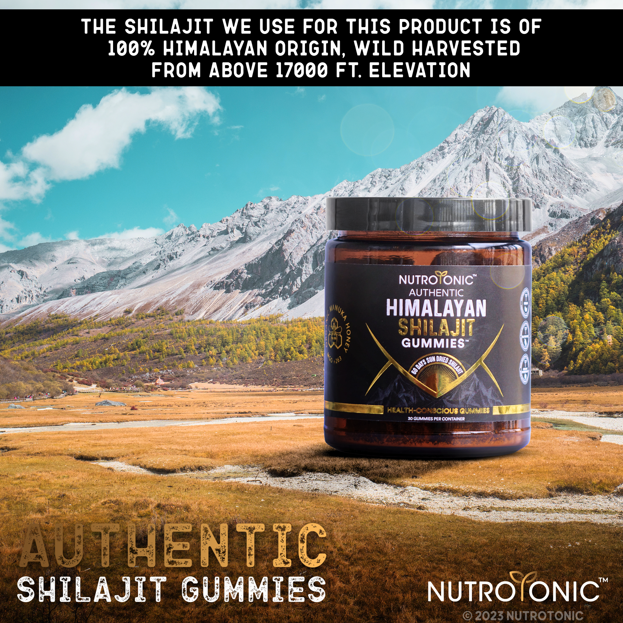 NutroTonic – wholesale Oralt tillskott/Vitamin – Äkta Himalaya Shilajit® Gummies sötade med ekologisk Manukahonung smaksatta med granatäppleolja och ekologisk vanilj8
