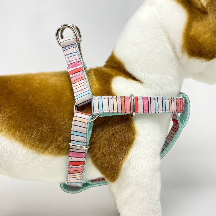 Roxy & Co. Canine Accessories - Wholesale Pet Harness - Dog - BRANDI STRIPE DOG HARNESS4