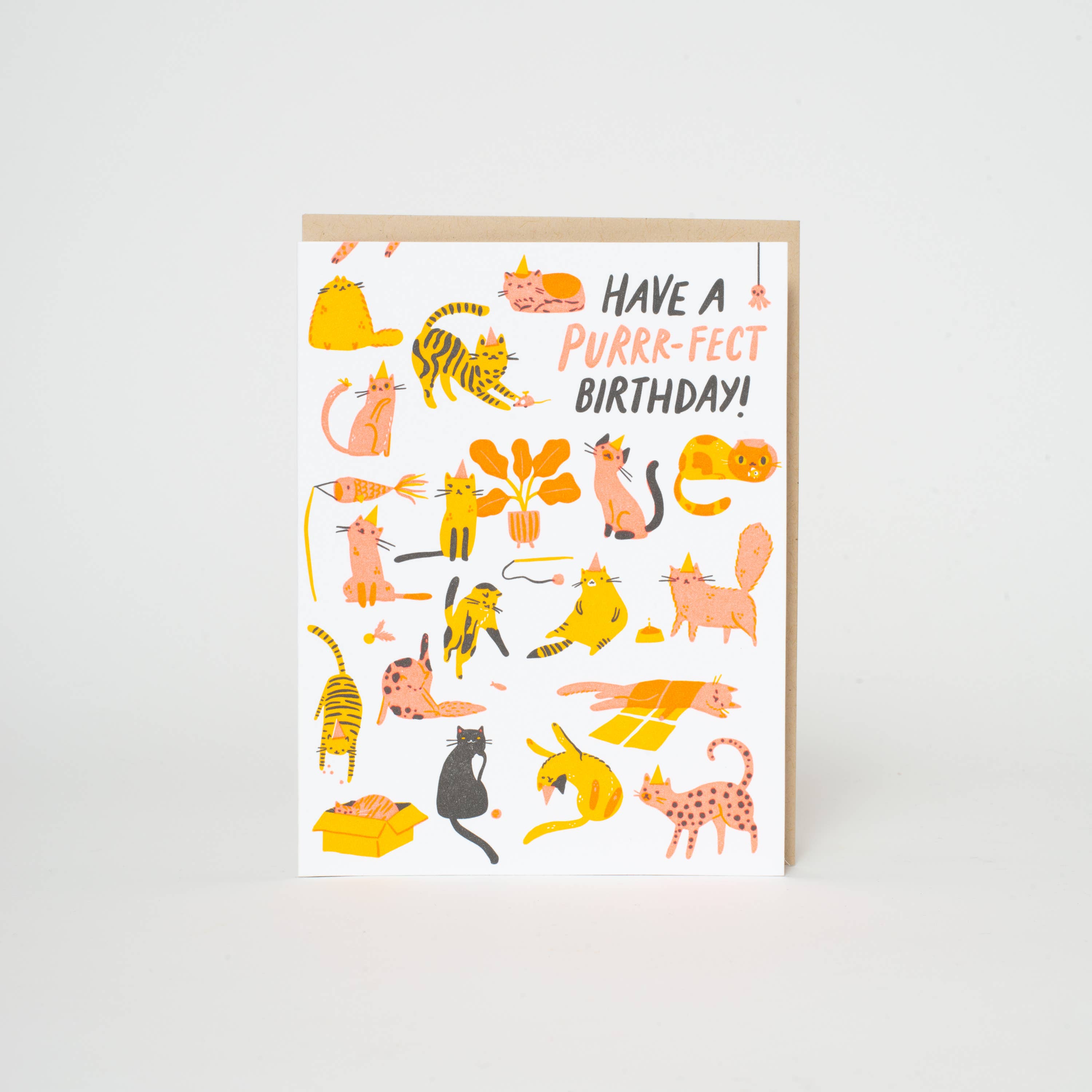 Egg Press Manufacturing - Wholesale Birthday Card - Birthday Purr-fect Cats Letterpress Greeting Card by Hello!Lucky1