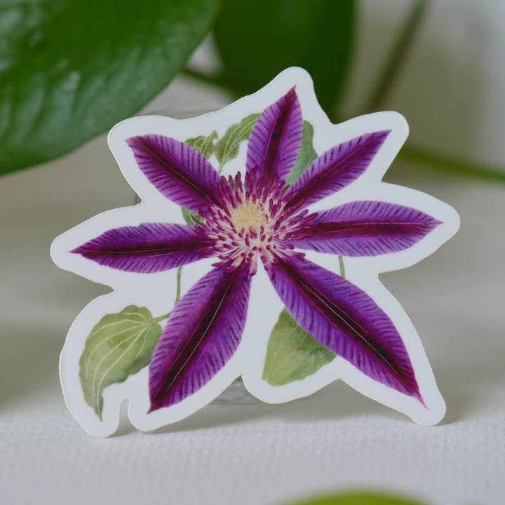 Clematis Vinyl Decal / Sticker for wholesale by Salt Hippy