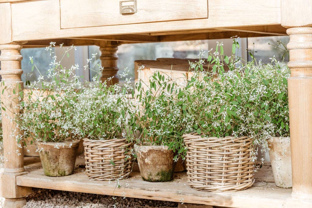 Basketly – Engroshandel Kurv – Rattan blomsterkurv med plastindsats7