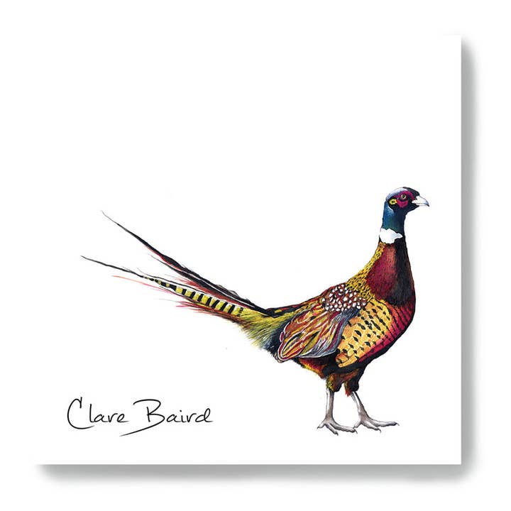 Blocs-notes adhésifs en forme de faisan pour la vente par Clare Baird