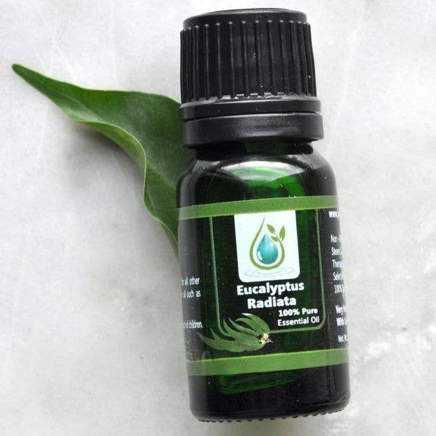Radiata Eucalyptus 100% Pure Essential Oil (Therapeutic Grade) for wholesale by Jade Bloom