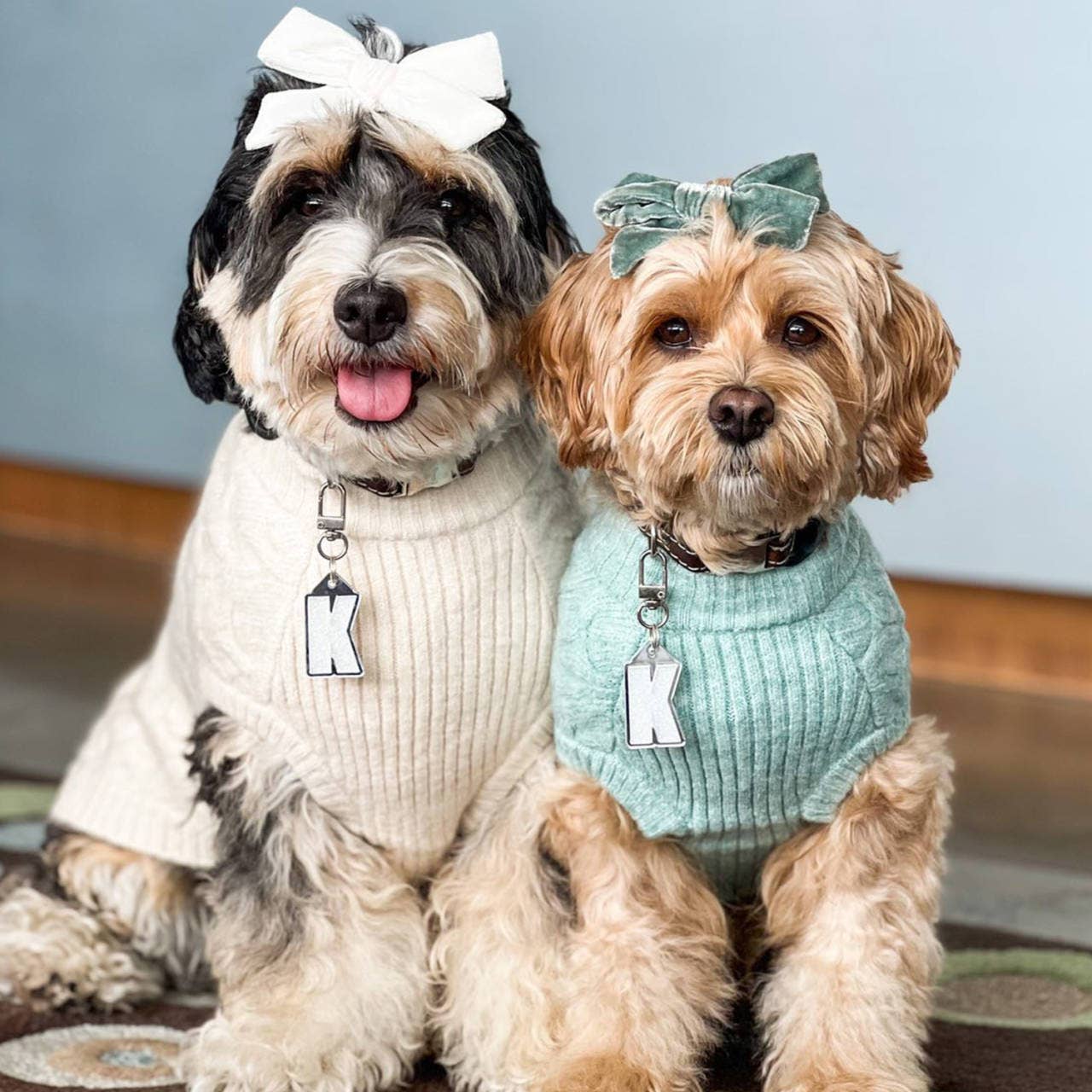 Blueberry Pet - Wholesale Pet Sweater - Dog - Custom-knit & Dyed Ultra-Soft Brushed Fuzzy Yarn Dog Sweater29