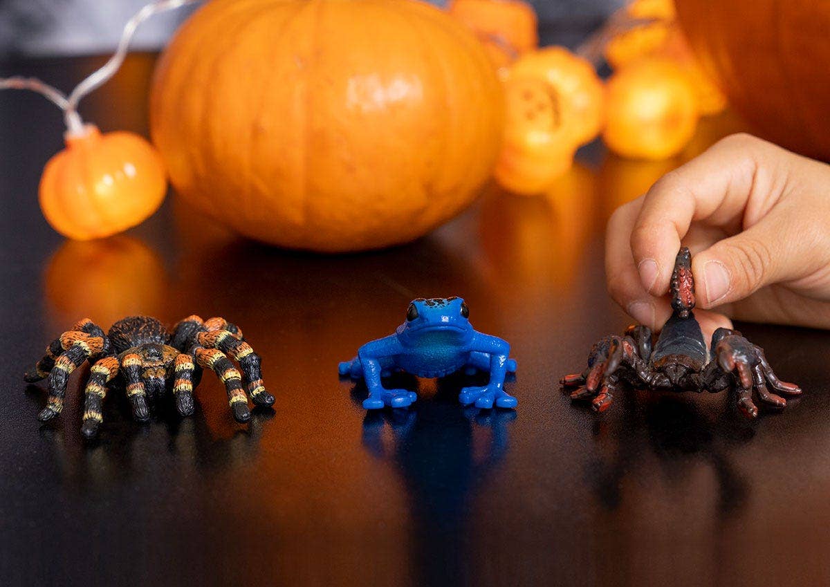 Schleich - Wholesale Figurine Toy - Kids - Tarantula Spider Animal Toy4