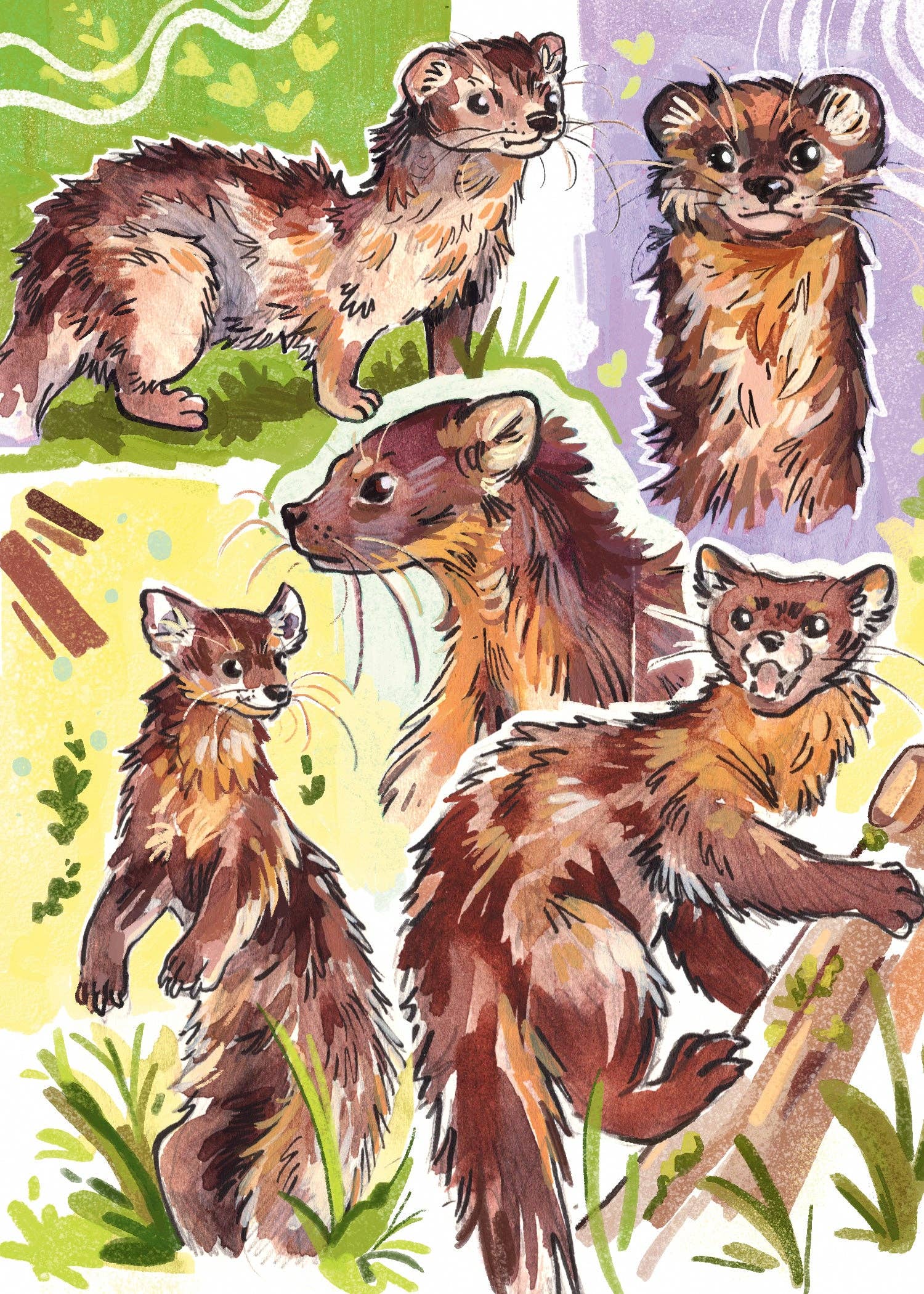 JelArts - Wholesale Art Print - Martens & Weasels - Sketchbook Print0