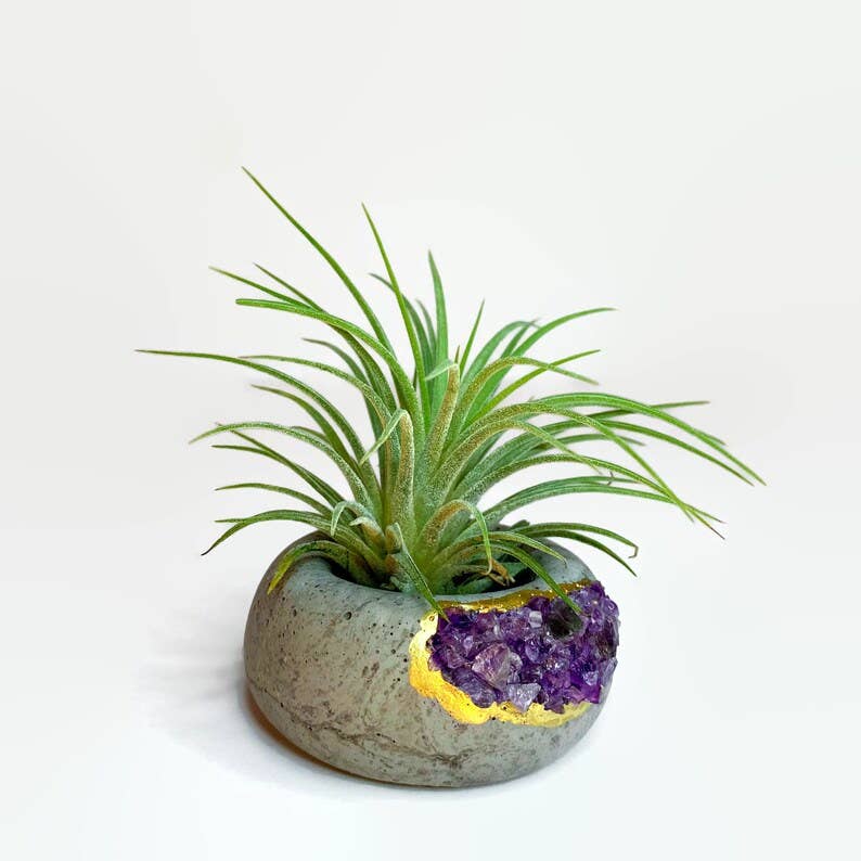 Planters Made in the USA - Wholesale Plant Pot - Crystal Air Plant Holder - Geode Planter Pot - Raw Amethyst1