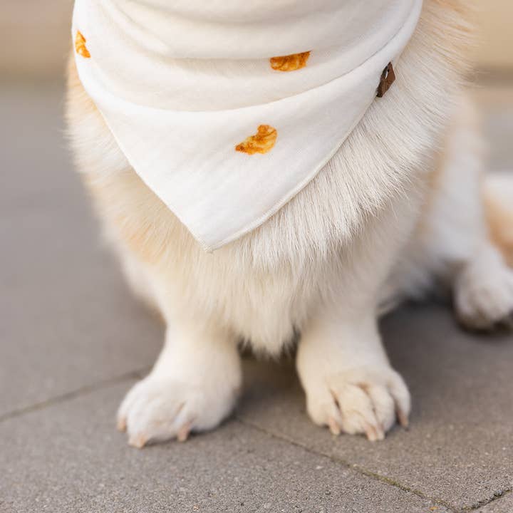 Lieblingspfote - Wholesale Pet Bandana - Dog - Muslin Scarf "CROISSANTS"