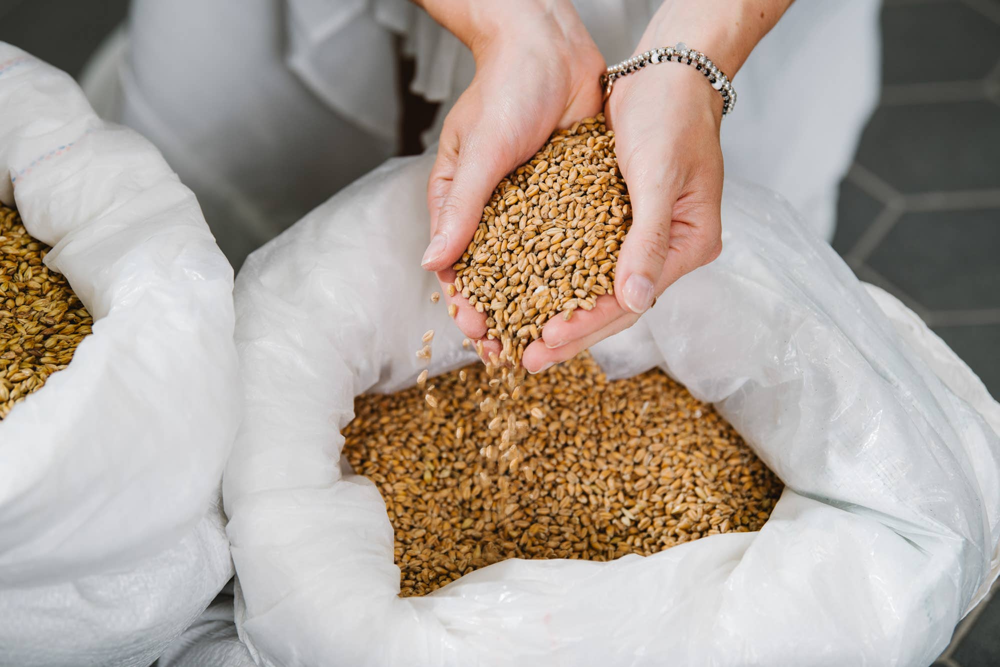 Haderner Bräu - Münchner Girgbräu GmbH - Vente Bière - Haderner Bio-Helles - La première brasserie biologique de Munich1