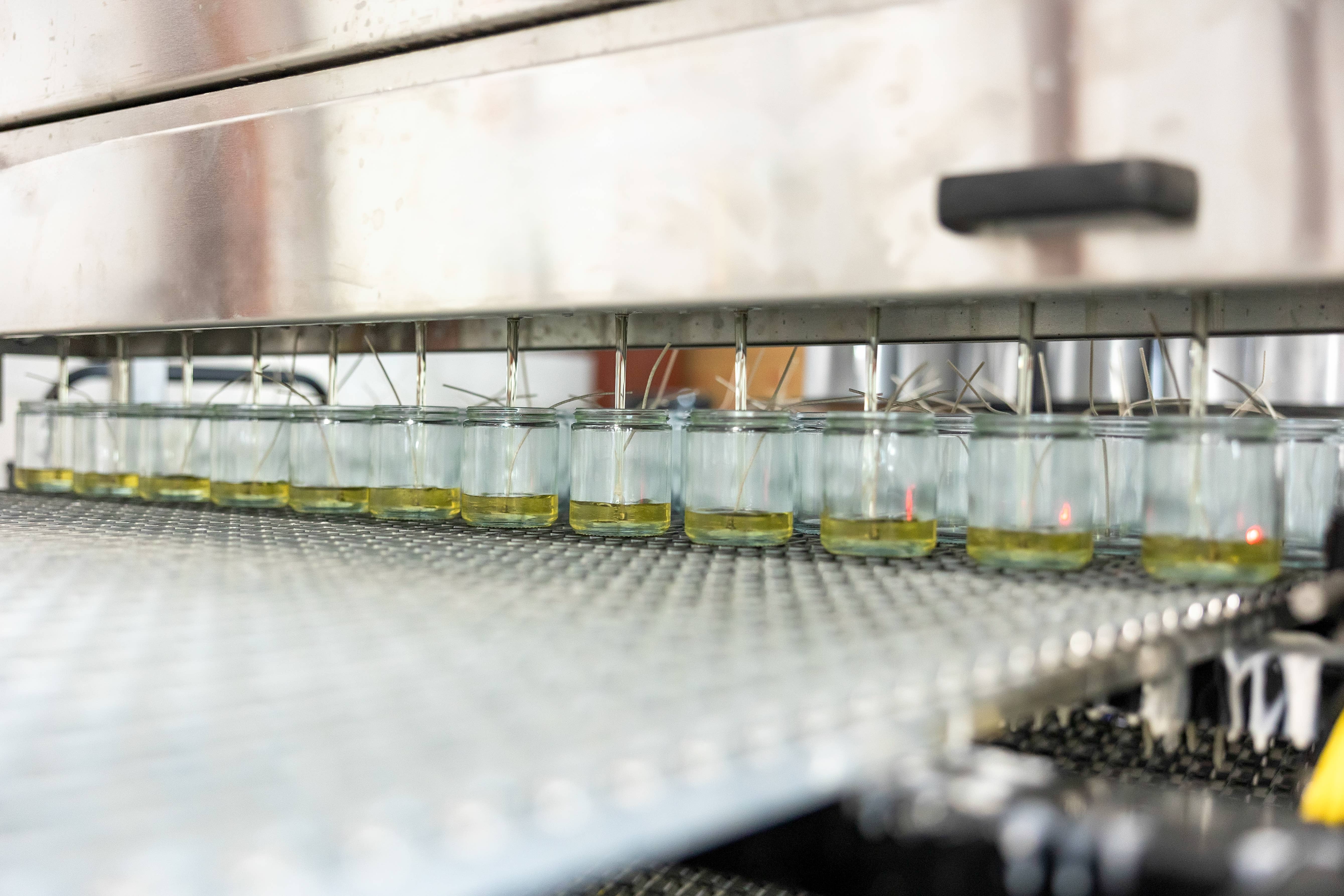 Poured Goods - Wholesale Jar/Filled Candle - Citrus Spritz - Candle5