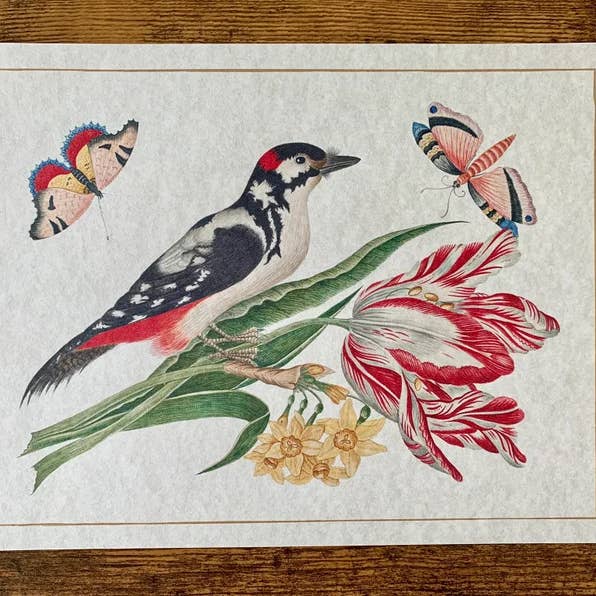 Magnifique Hearts - Wholesale Art Print - Ornithological Beautiful Botanical Bird Prints