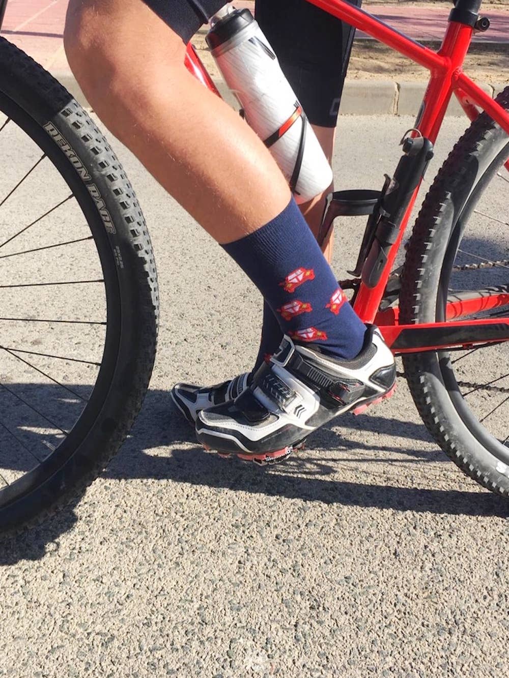 ATRAPAPIES - Wholesale Socks - Unisex - ECO Socks Car Model2