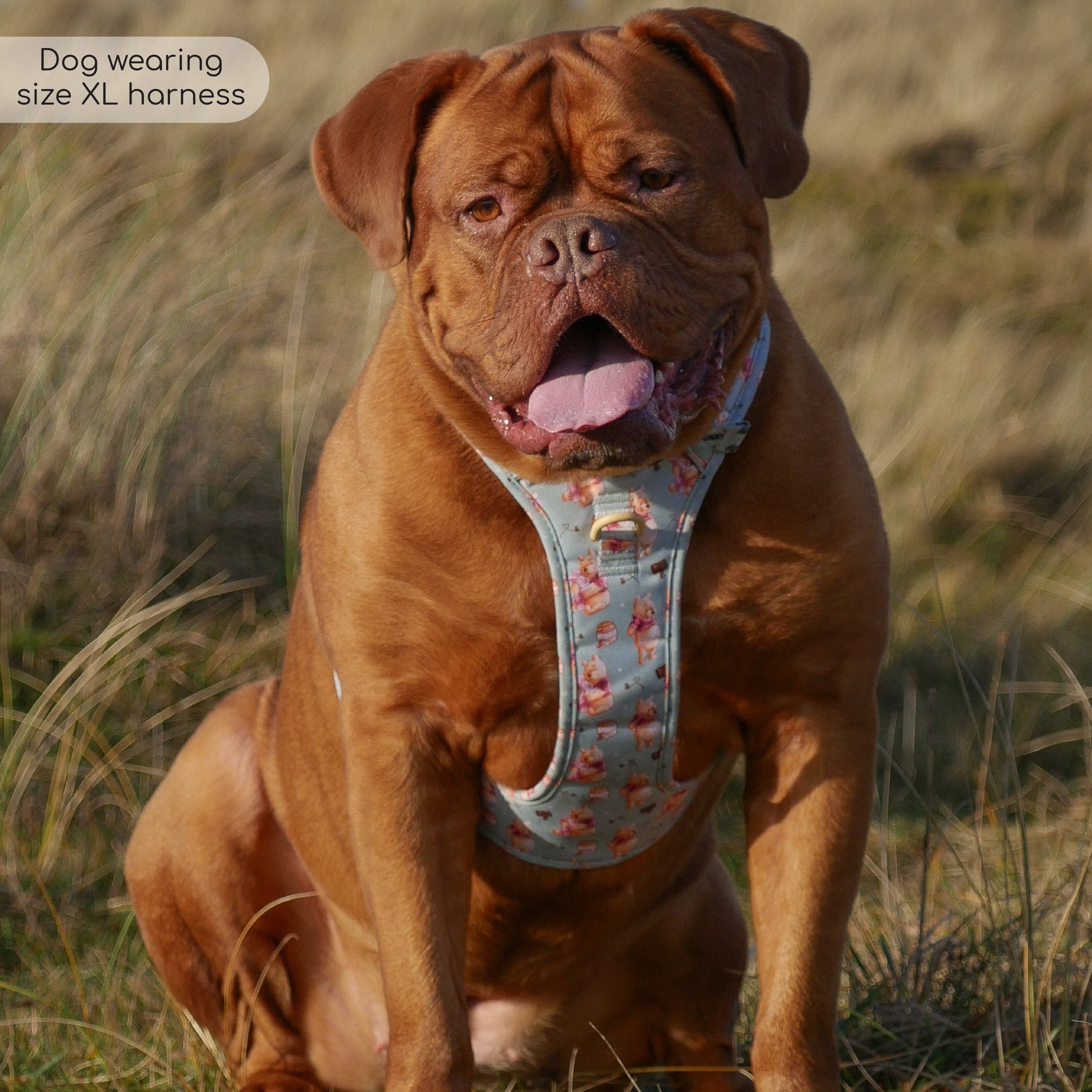 Pawsome Paws – Großhandel Haustiergeschirr – Hund – Disney© Tough Trails™ Geschirr – Winnie Puuh7