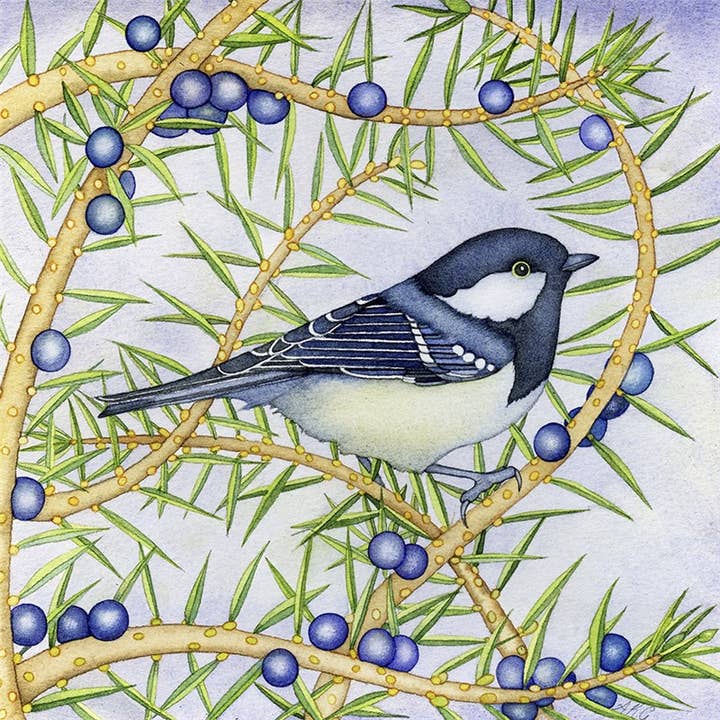 Carte de vœux Mésange noire pour la vente par Natural Partners Limited