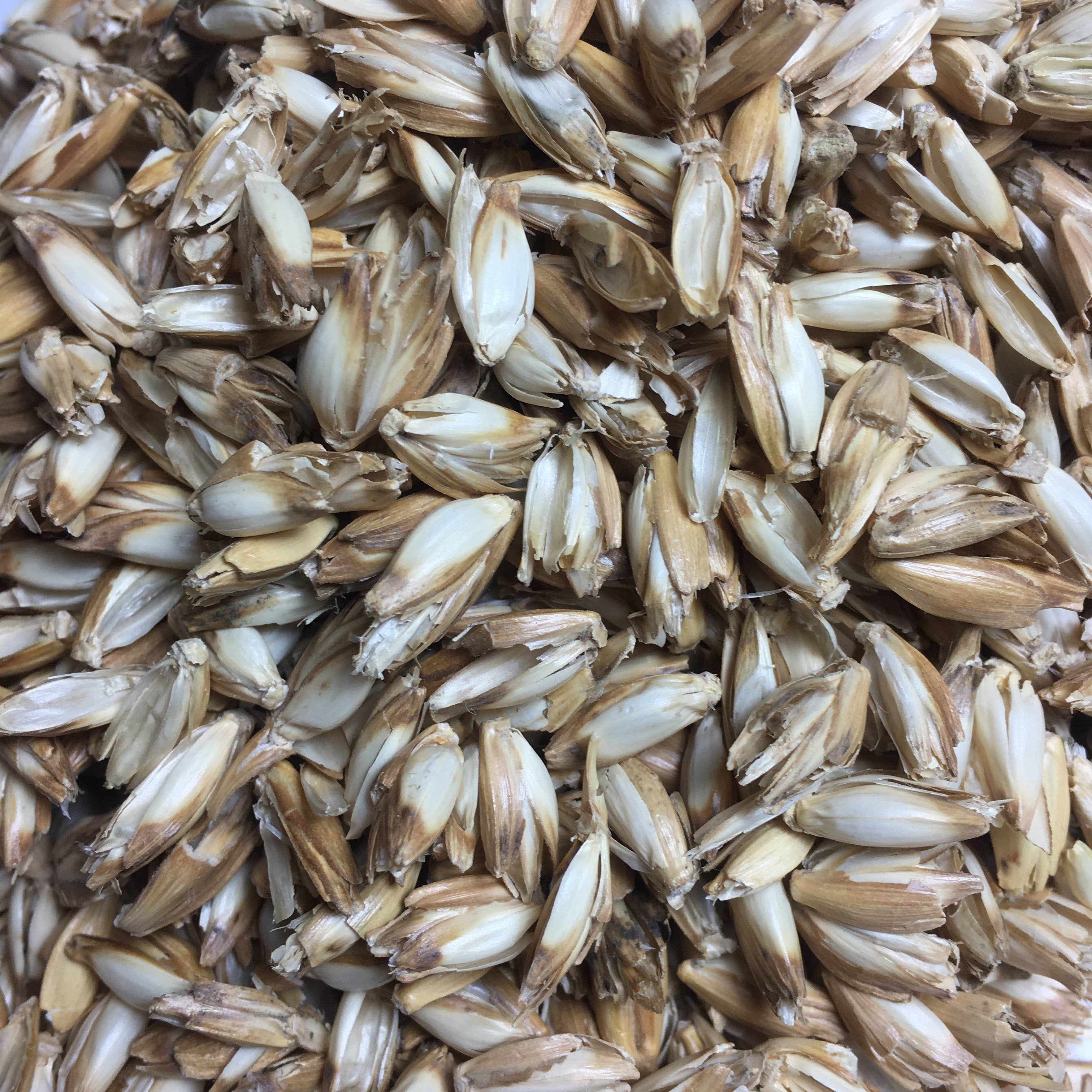 Pat & Patty – Travesseiro/almofada - Crianças e bebés por atacado – Almofada de cuddle para crianças eco “dog” /HUD-3204