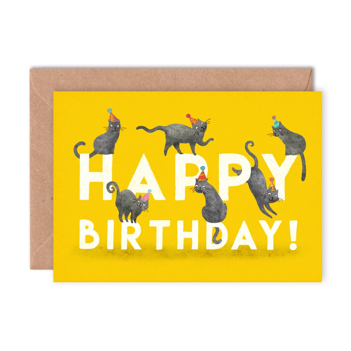 Emily Nash Illustration Greeting Cards - Vente Cartes d'anniversaire - Pack de 6 cartes de vœux Joyeux Anniversaire Animaux Multipack8