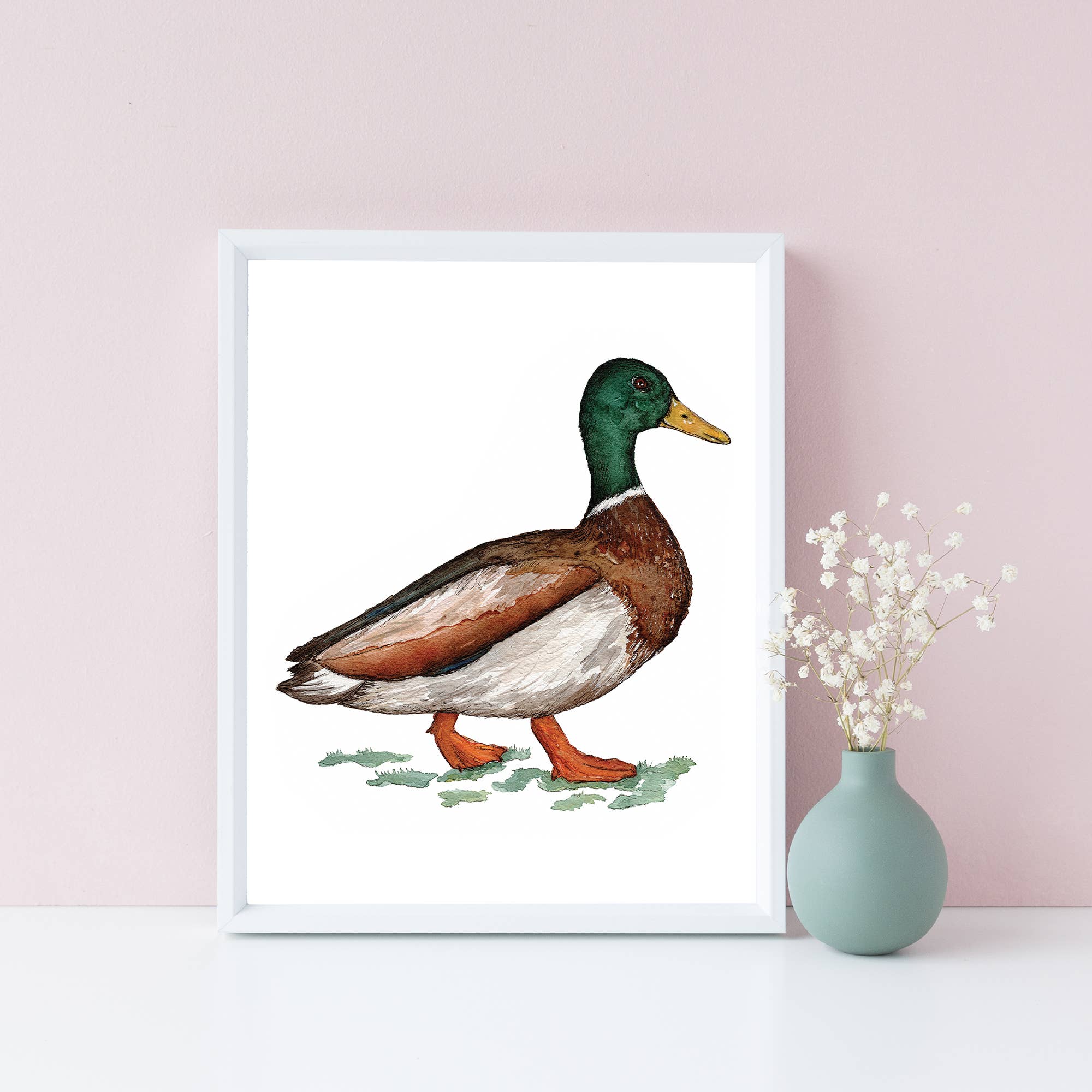 Green Artist Designs - Wholesale Art Print - Mallard Duck Art Print2