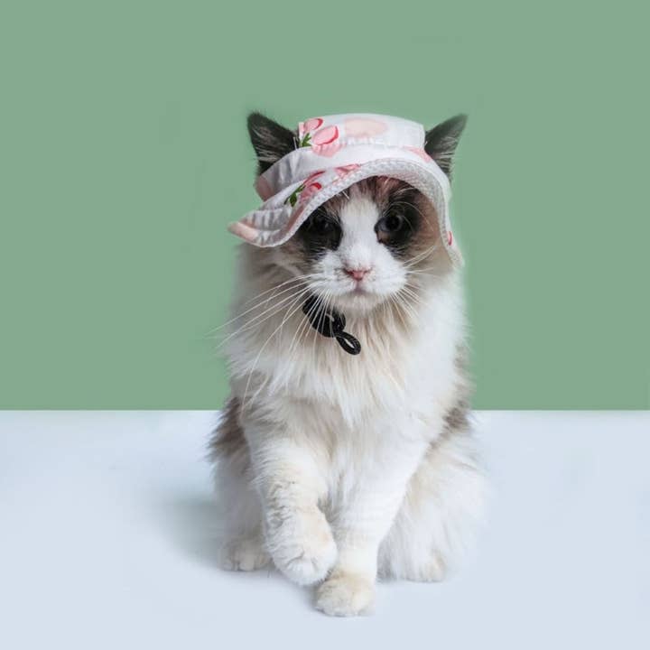 Cheerhunting - Wholesale Pet hat – Dog - Ozzie - Floral Pet Sun Hat2