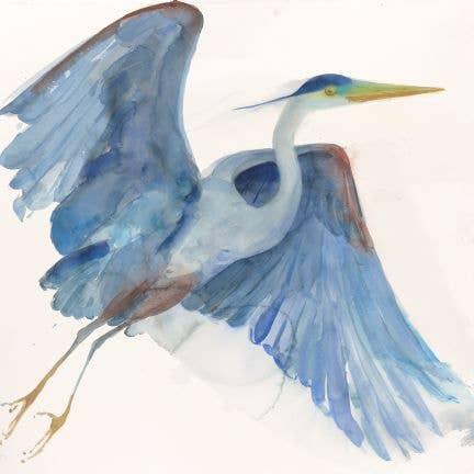 Great Blue Heron ~ "Free" ~ "Oh, to Fly" ~ Giclée Print for wholesale by Holly Wach Art LLC