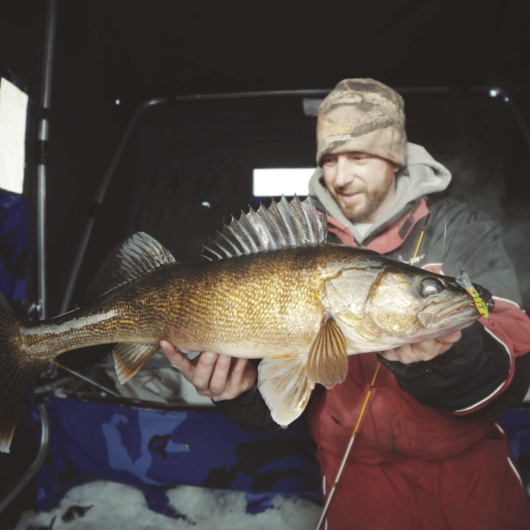 BaitCloud – Großhandel Sportliches Zubehör – BaitCloud Anglerlockstoff-Display mit 12 Röhrchen6