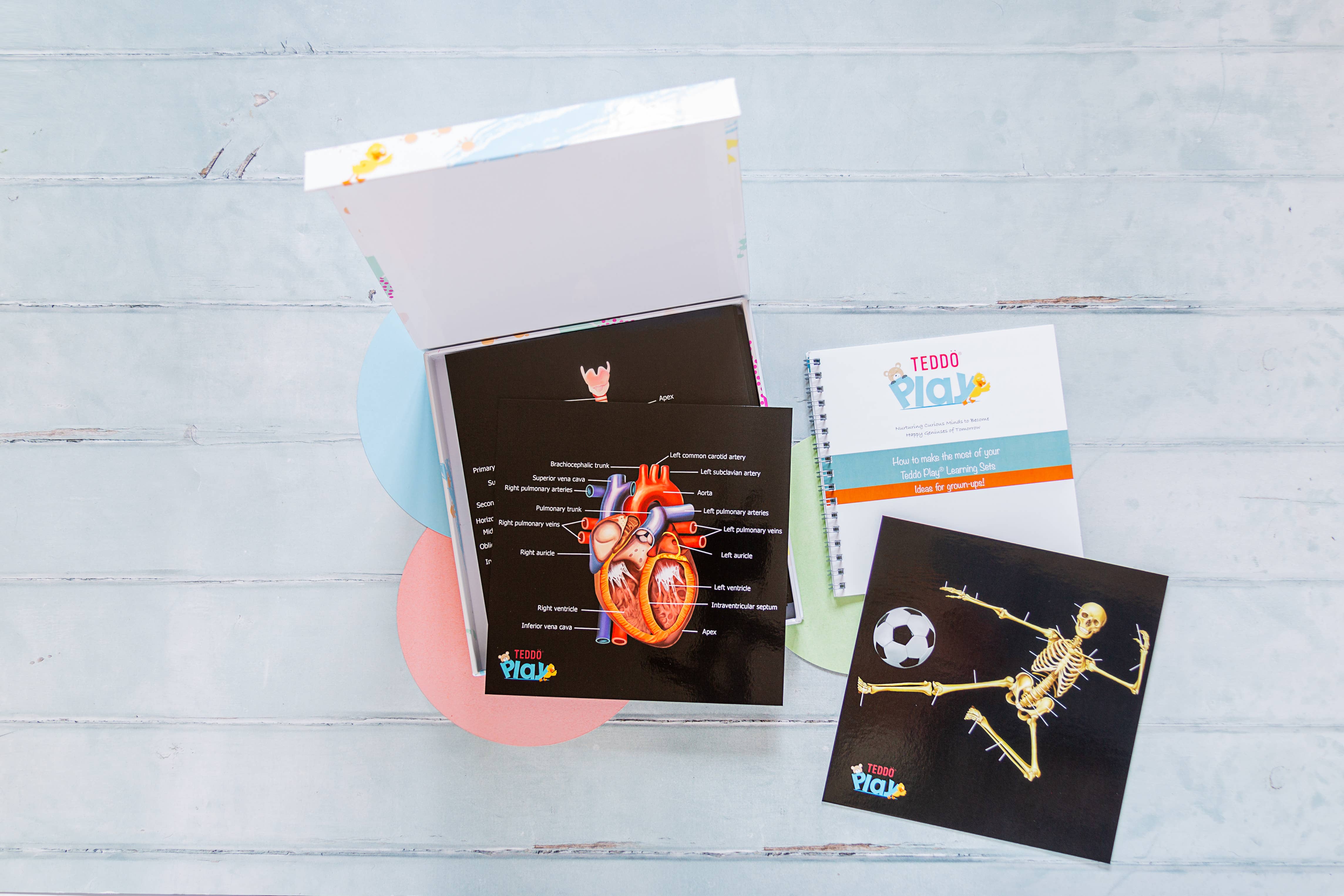 Teddo Play – Großhandel Lernkarten – Kind & Baby – Multi-Bundle mit 13 Lernsets Lernspiele für Kinder29