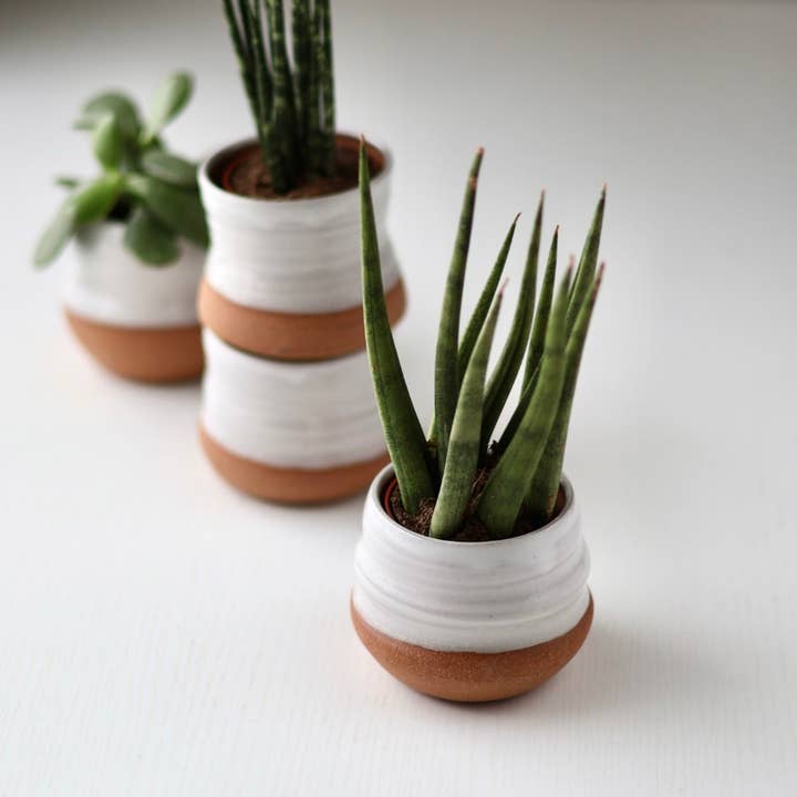 Gravesco Pottery - Wholesale Plant pot - Assorted Small Planter Pots | White 2 inch handmade2