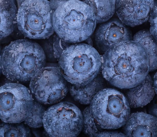 COKARE Conscious care - Wholesale Chocolate Bar - Focus Chocolate Bites with Lions Mane1