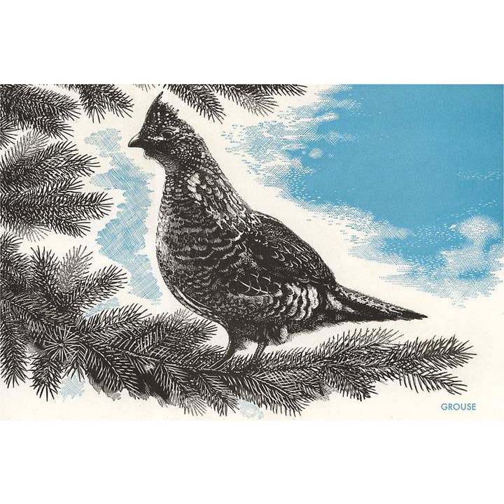 Found Image Press – wholesale Postcard – Postcard BD-241 Grouse in Fir Tree