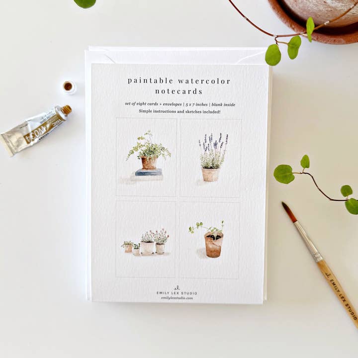emily lex studio - Wholesale Stationery/Notecard Set - potted plants paintable notecards