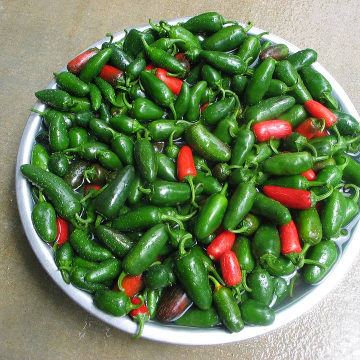 Campbell Gardens - Wholesale Preserves - Strawberry Jalapeño Preserves2