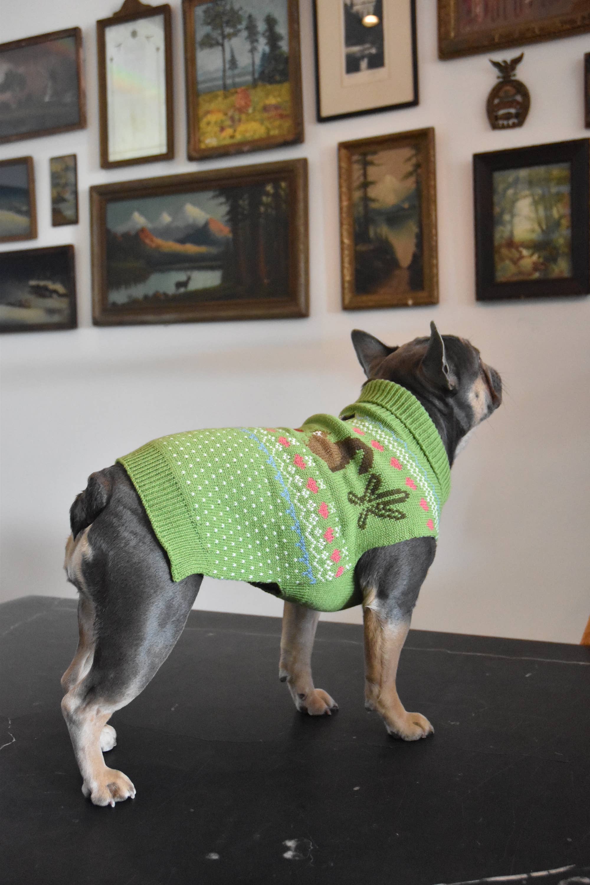 Finnegan’s Standard Goods - Wholesale Pet Sweater - Dog - Fernfield Squirrel Sweater 3