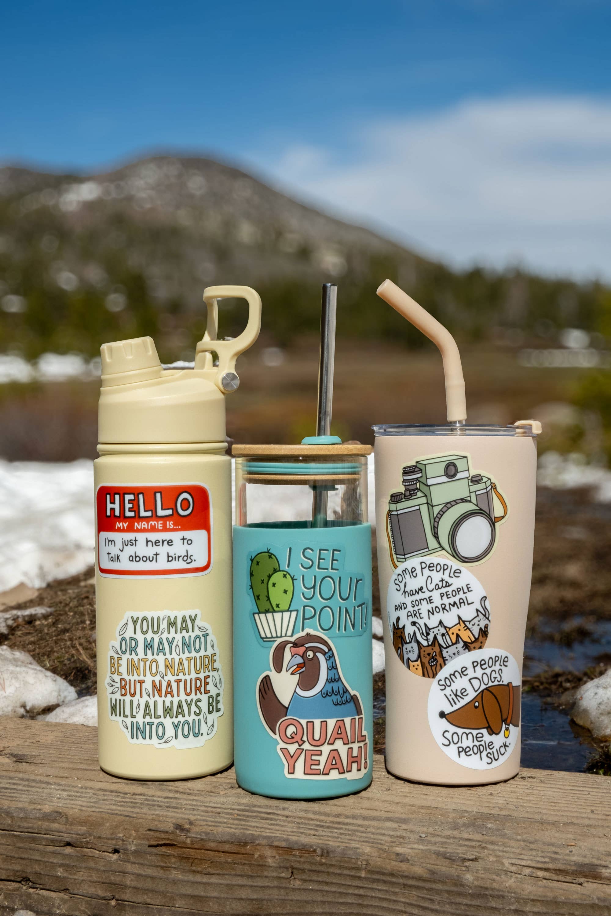 Little Hiker Bird - Wholesale Sticker - Some People Like Birds - Vinyl Sticker1