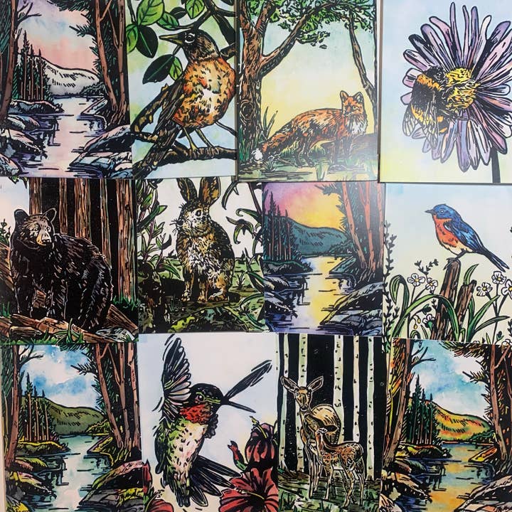 bclockerart - Wholesale Everyday Greeting Card - Greeting Cards of nature, birds, and wildlife.6