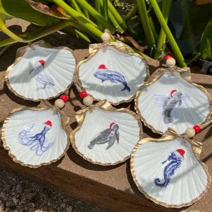 Santa's Sea Creatures Shells Mini 6 Pack for wholesale by DogFish Design 13