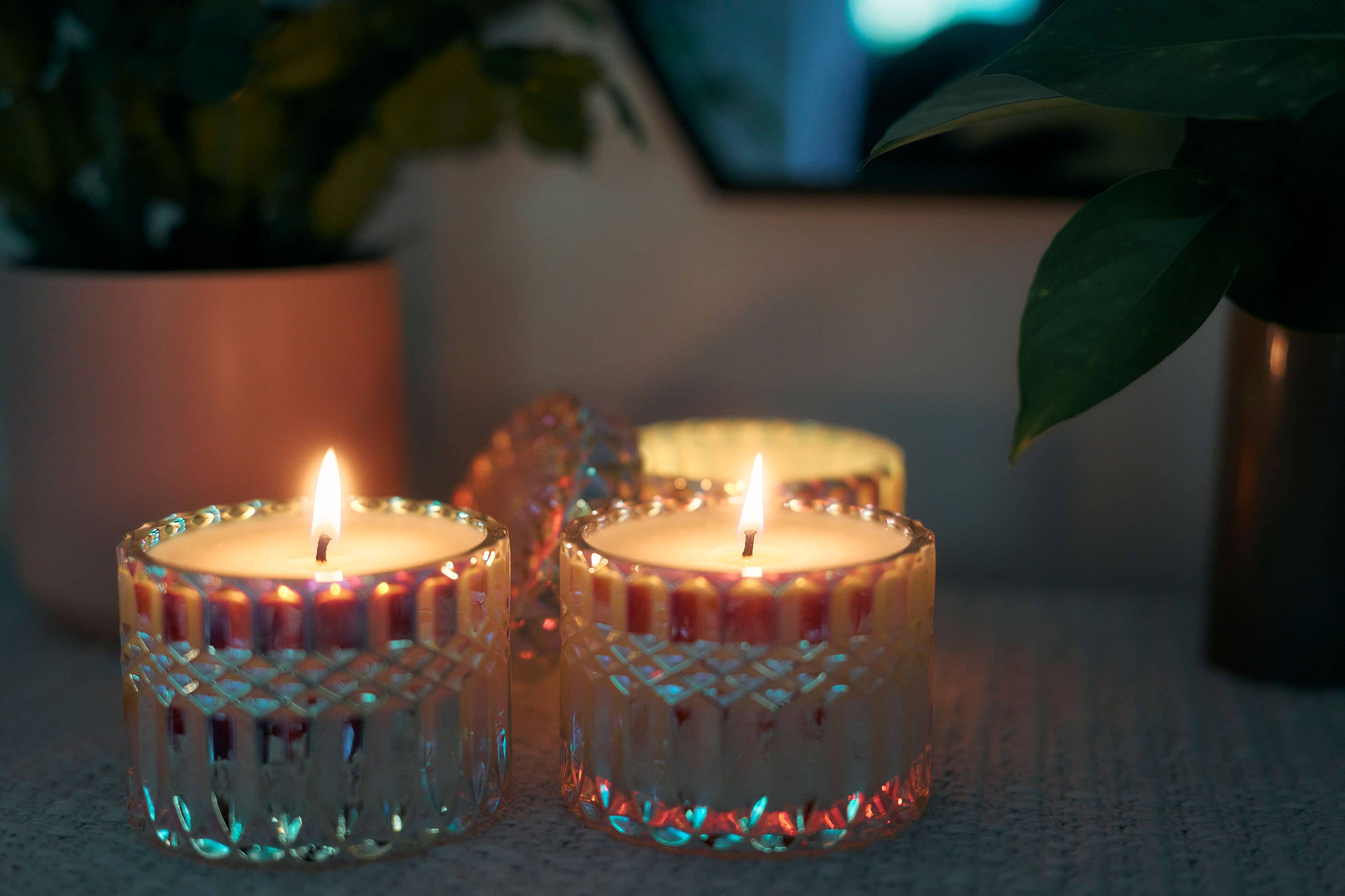 Sunbeam Candles, Inc - Wholesale Pot/gevulde kaars - Nectar - Abrikoos, Citrus & Olijf (3 potten in doos)5