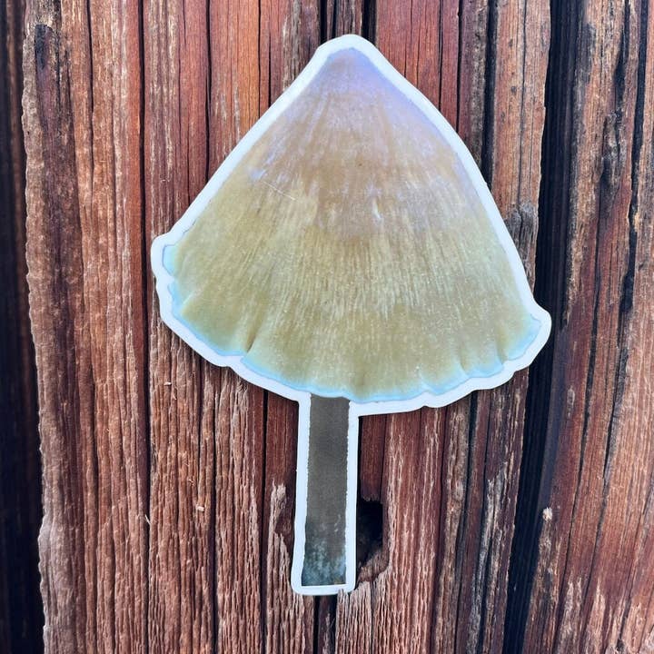 Stick Outside - Wholesale Sticker - California Redwood Rooter Mushroom Sticker0