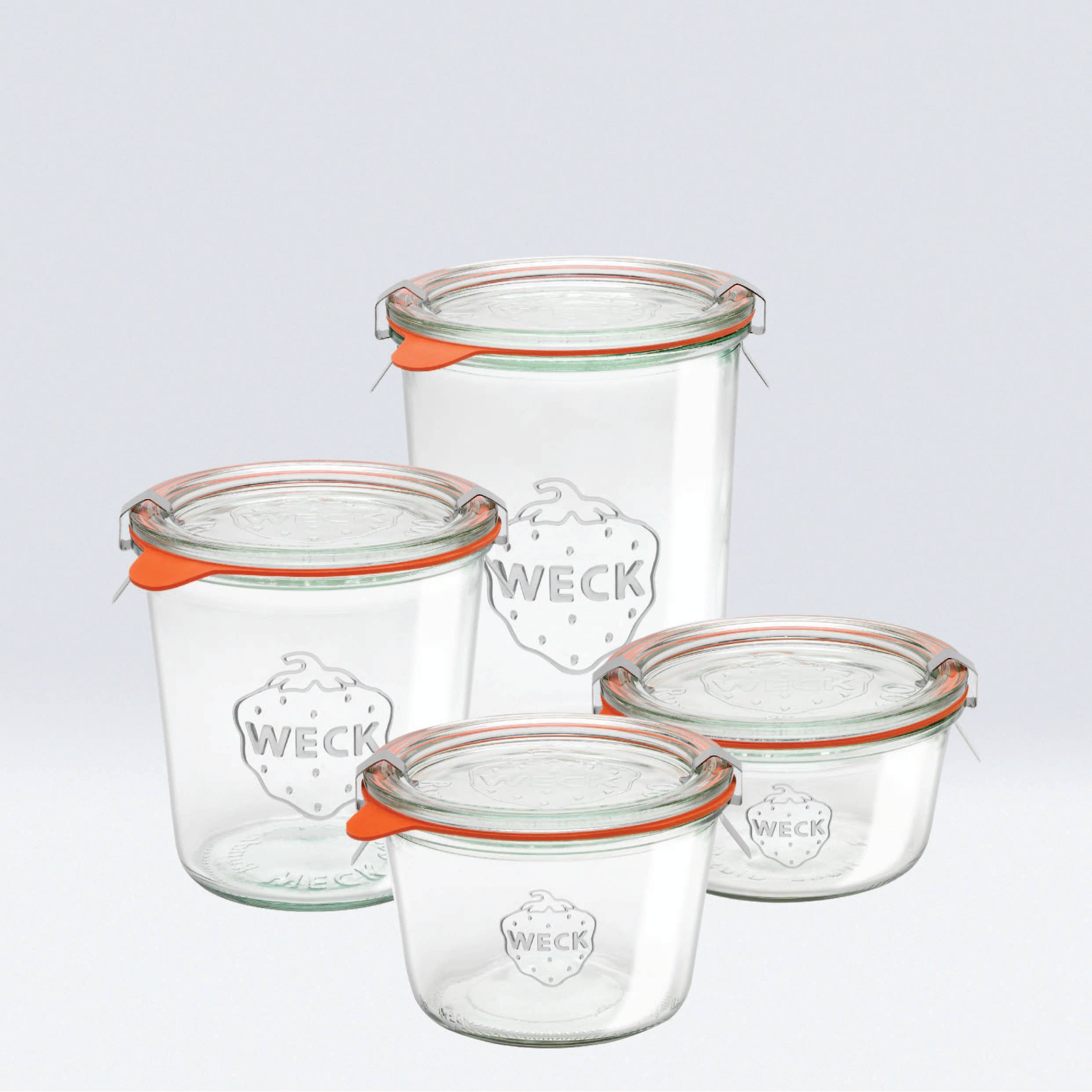 Ventures Int'l Products Inc. - Wholesale Food Storage Container - WECK® Mold Jars Combo1
