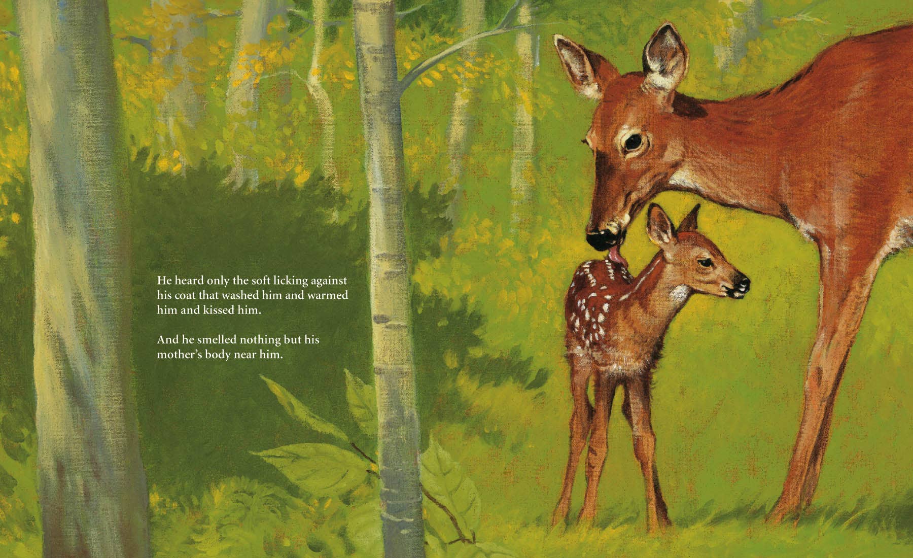 Sleeping Bear Press - Wholesale Book - Kids - Bambi's First Day Picture Book5