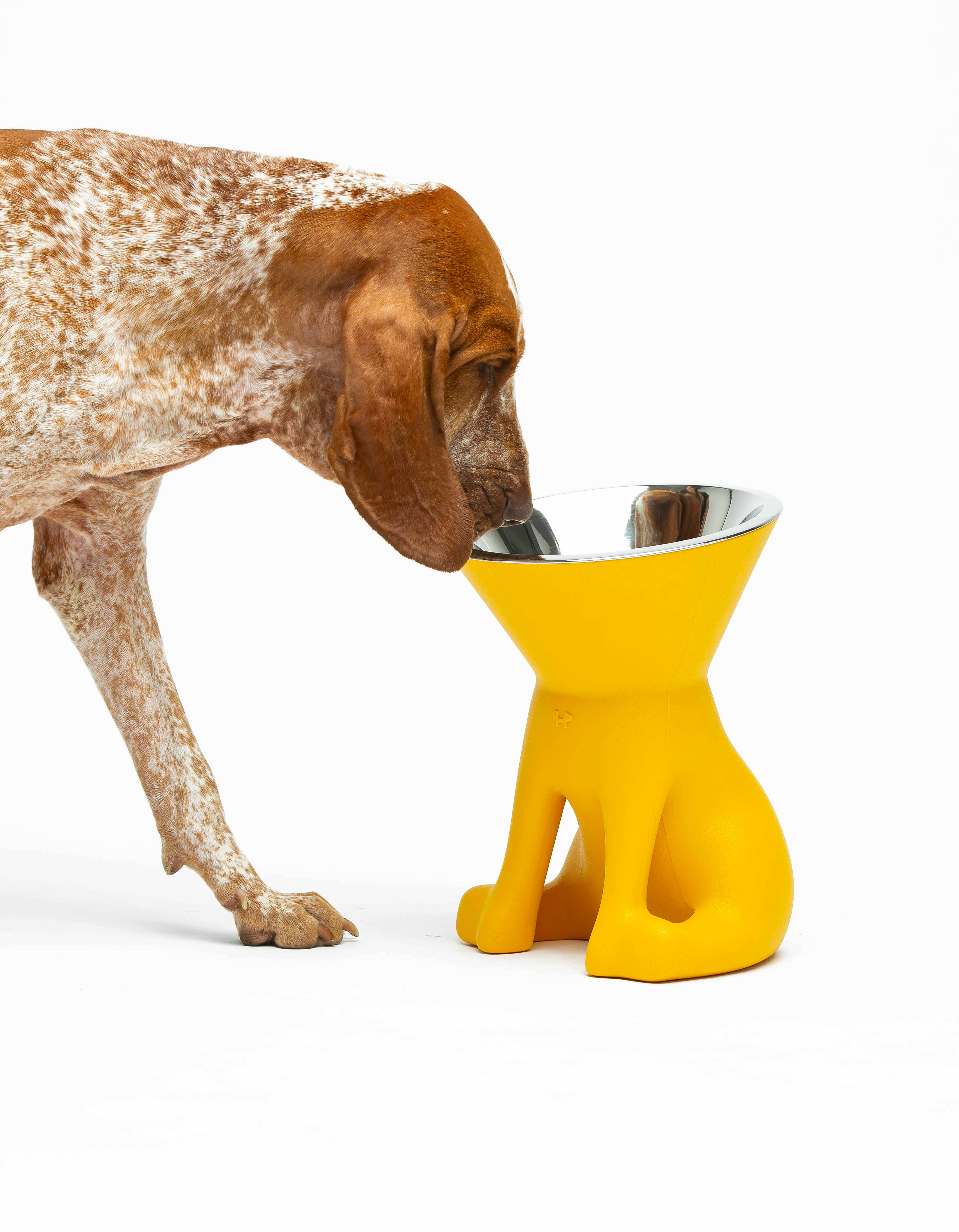 United Pets - Vente Gamelle – chat et chien - Elizabeth : gamelle surélevée pour chien21